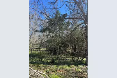 Lot 321 Kolekole Lane, Bastrop, TX 78602 - Photo 4