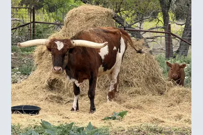 15040 County Road 2200, Lometa, TX 76853 - Photo 40