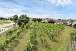 16710 Lilo Dr, Austin, TX 78738 - Photo 12