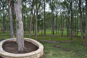 142 Llano Ct, Cedar Creek, TX 78612 - Photo 34