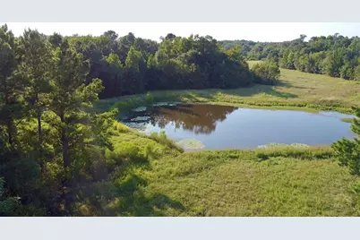 Tbd County Road 4025, Lovelady, TX 75851 - Photo 6