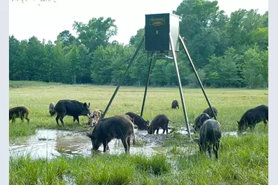 Tbd County Road 4025, Lovelady, TX 75851 - Photo 30