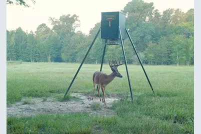 Tbd County Road 4025, Lovelady, TX 75851 - Photo 4