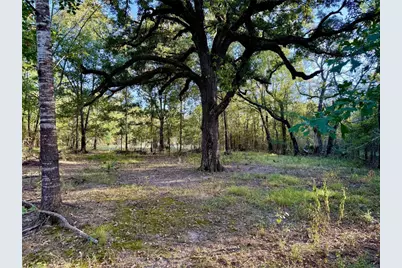 Tbd County Road 4025, Lovelady, TX 75851 - Photo 2