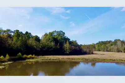 Tbd County Road 4025, Lovelady, TX 75851 - Photo 12