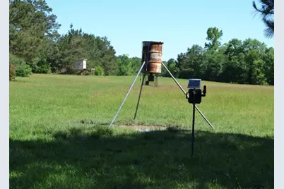 Tbd County Road 4025, Lovelady, TX 75851 - Photo 28