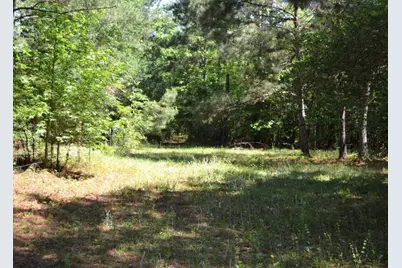 Tbd County Road 4025, Lovelady, TX 75851 - Photo 22