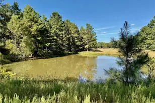 Tbd County Road 4025, Lovelady, TX 75851 - Photo 1