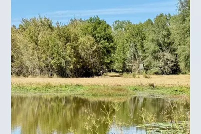 Tbd County Road 4025, Lovelady, TX 75851 - Photo 10