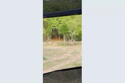 2354 Fm 2438, Seguin, TX 78155 - Photo 38