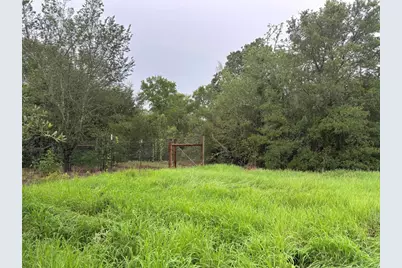 Lot 31 Blanket Flower Drive, Bastrop, TX 78602 - Photo 2