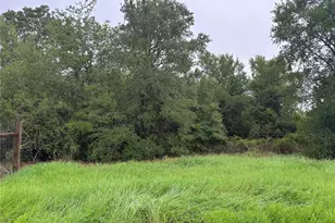 Lot 31 Blanket Flower Dr, Bastrop, TX 78602 - Photo 1