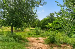 1689 FM2104, Paige, TX 78659 - Photo 34
