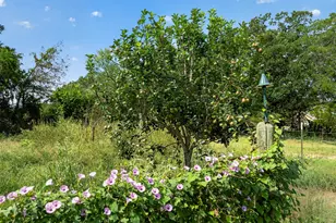 1689 FM2104, Paige, TX 78659 - Photo 30