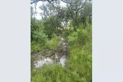 119 Delorean Circle, Burnet, TX 78611 - Photo 10