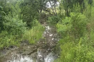 119 Delorean Cir, Burnet, TX 78611 - Photo 10