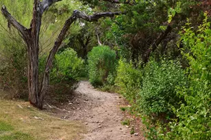 1415 Mount Larson Rd & 2012 Frances Dr, Austin, TX 78746 - Photo 32