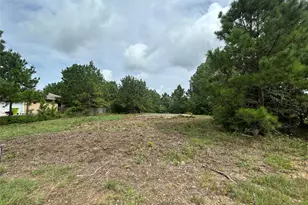 158 Cardinal Loop, Paige, TX 78659 - Photo 6