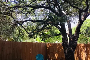 13302 Marrero Dr, Austin, TX 78729 - Photo 22