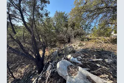 20405 Doolittle Cove, Lago Vista, TX 78645 - Photo 4