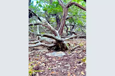 424 Armadillo Trail Drive E, Center Point, TX 78013 - Photo 16