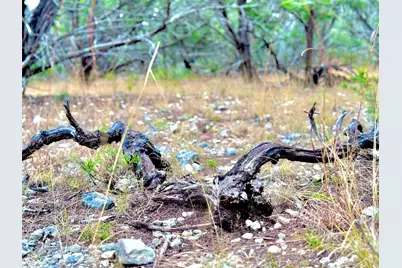 424 Armadillo Trail Drive E, Center Point, TX 78013 - Photo 4