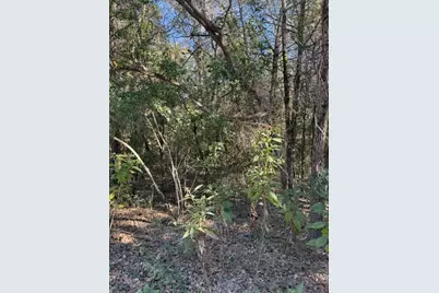 125 Helemano Drive, Bastrop, TX 78602 - Photo 6