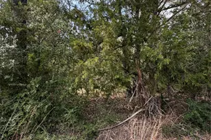 Lot 20 Flint Ridge St, Bastrop, TX 78602 - Photo 1