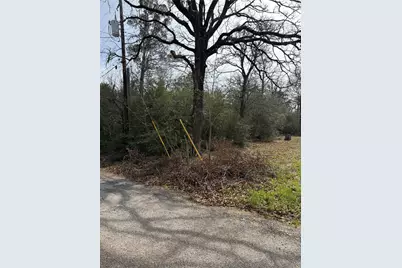 Lot 20 Flint Ridge Street, Bastrop, TX 78602 - Photo 6