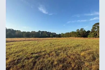 24778 Glass Road, Hockley, TX 77447 - Photo 6