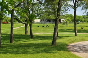 [Address not provided], Luling, TX 78648 - Photo 24