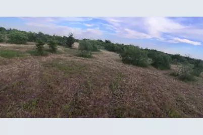 001 Bois D Arc Road, Manor, TX 78653 - Photo 4