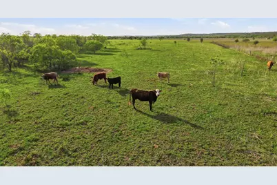20326 Fm 969 #5, Webberville, TX 78653 - Photo 38