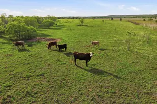 20326 FM 969, Webberville, TX 78653 - Photo 38