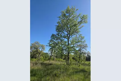 10557 Roy Road, Flatonia, TX 78941 - Photo 4