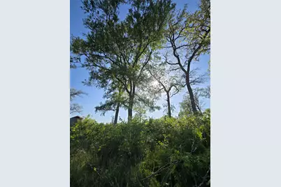 10557 Roy Road, Flatonia, TX 78941 - Photo 6