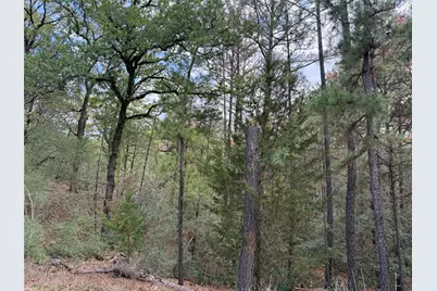 125 Lamaloa Lane, Bastrop, TX 78602 - Photo 2