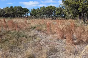 15765 Hamilton Pool Rd, Austin, TX 78738 - Photo 1