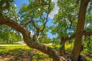 8502 E US 290, Johnson City, TX 78636 - Photo 36