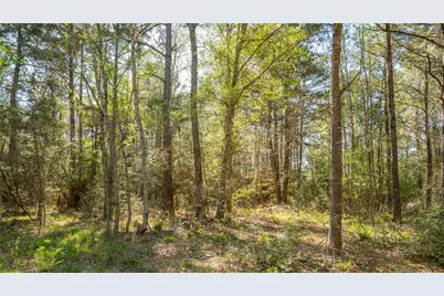 000 Bighorn Road, Huntsville, TX 77340 - Photo 20
