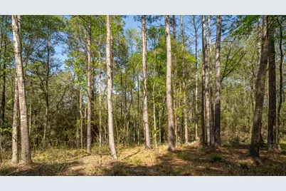 000 Bighorn Road, Huntsville, TX 77340 - Photo 16