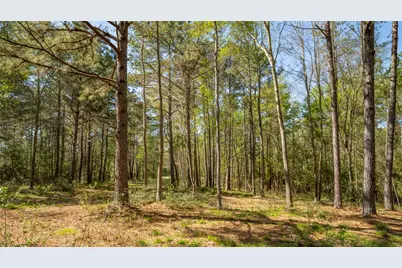 000 Bighorn Road, Huntsville, TX 77340 - Photo 14