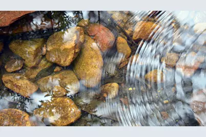 245 Melody Road, Lockhart, TX 78644 - Photo 18