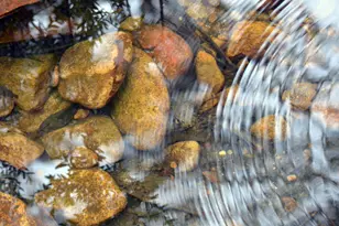 245 Melody Rd, Lockhart, TX 78644 - Photo 18