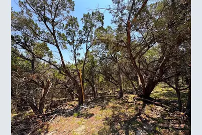 557 Dusty Saddle, Canyon Lake, TX 78133 - Photo 2