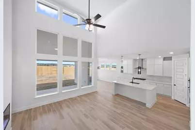 317 Horsemint Lane, Georgetown, TX 78633 - Photo 4