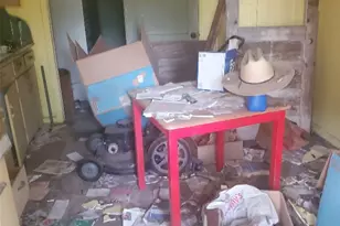 1202 Hackberry St, Austin, TX 78702 - Photo 6