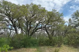 6248 Co Rd 330, Bertram, TX 78605 - Photo 6