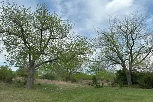 6248 Co Rd 330, Bertram, TX 78605 - Photo 1