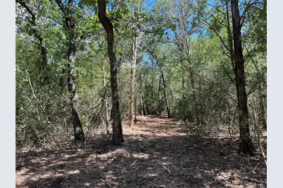 Lot 1 & 2 & 3 Old Lockhart Road, Plum, TX 78952 - Photo 2